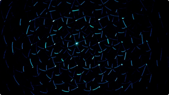 Что такое WMS система